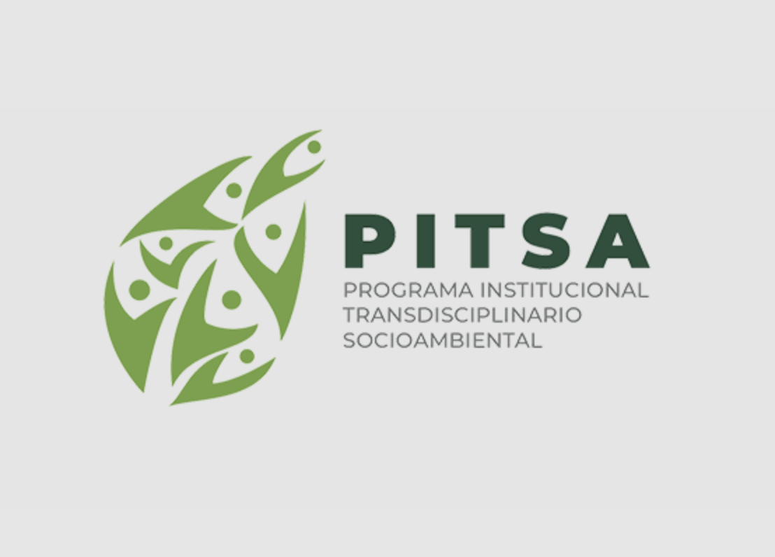 Proyecto digital realizado para Pitsa