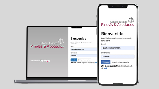 Vista del software desarrollado por Studiox para clientes empresariales